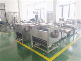 Commercial Vegetable Washer