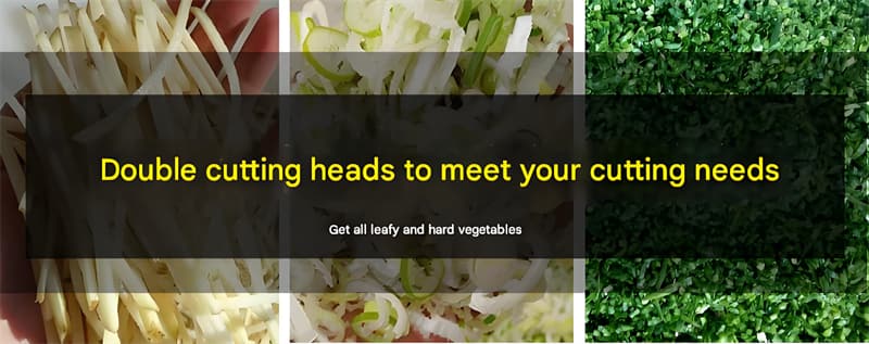 YQC850/801 High-Efficiency Double-Head Hotel Vegetable Cutting Machine YQC850/801 High-Efficiency Double-Head Hotel Vegetable Cutting Machine