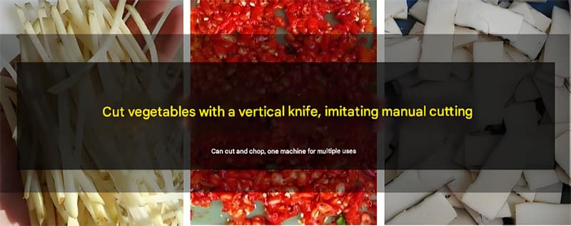 YQC660/1000 Multi-Functional Commercial Vegetable Cutting Machine for Restaurant YQC660/1000 Multi-Functional Commercial Vegetable Cutting Machine for Restaurant