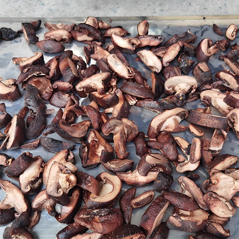 PMG500 High-Efficiency Multifunctional Mushroom Slicing Machine PMG500 High-Efficiency Multifunctional Mushroom Slicing Machine