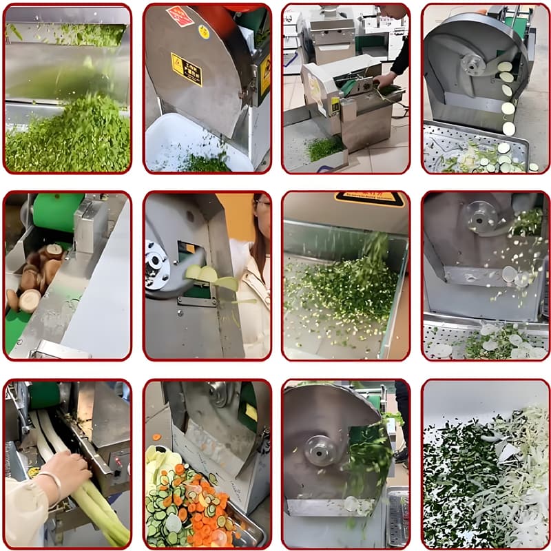 CHD20/40 Fully Automatic Small Vegetable Cutting Machine CHD20/40 Fully Automatic Small Vegetable Cutting Machine