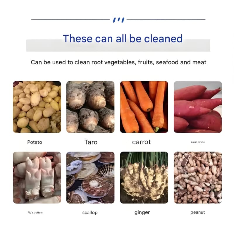 CX100/150 Commercial Vegetable Washing Machine with Integrated Peeling
