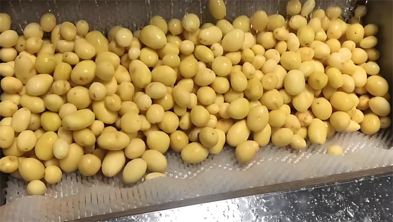 what is the commercial potato peeler machine price what is the commercial potato peeler machine price